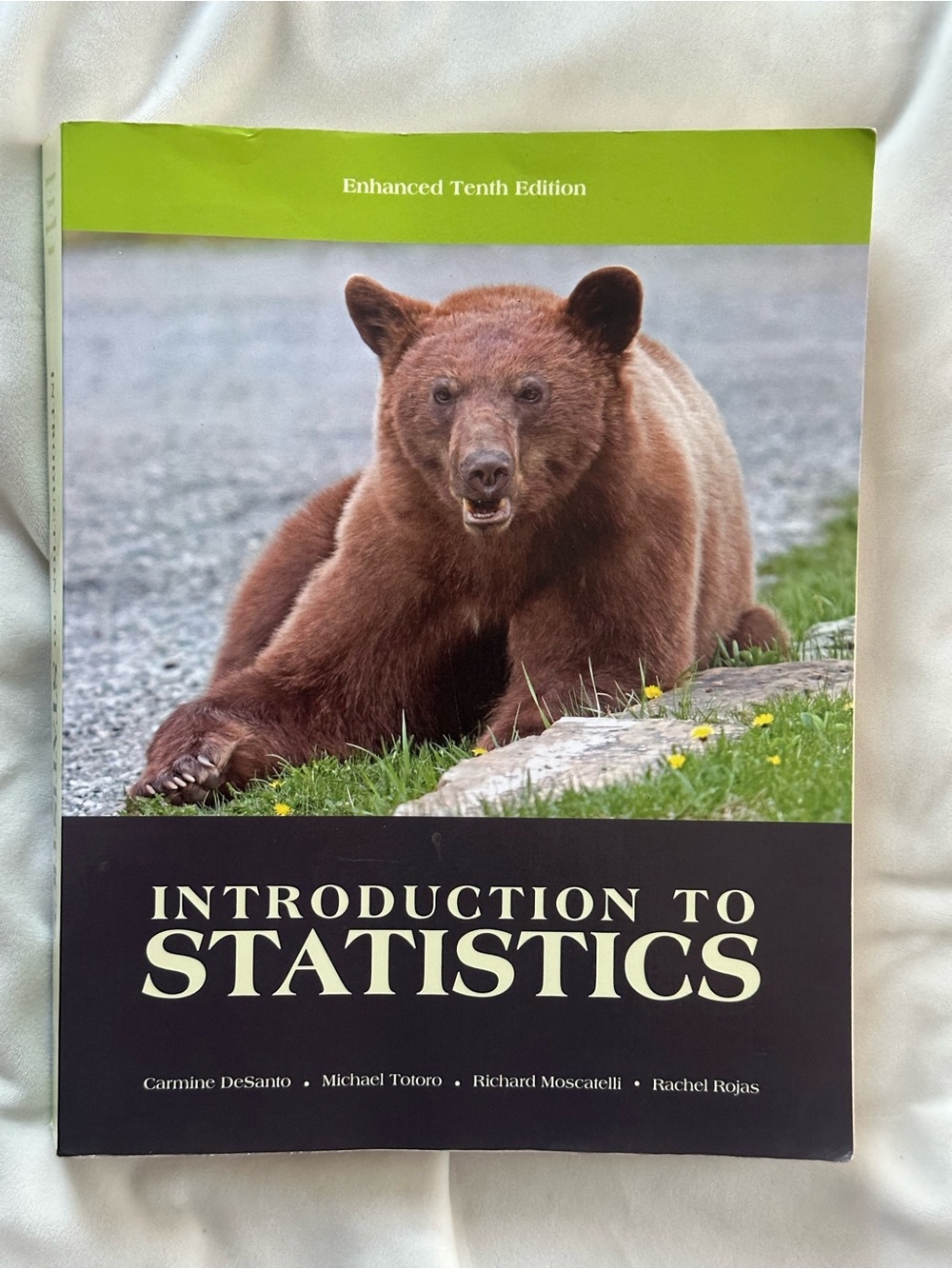 Introduction to Statistics Enhanced 10th Edition Pearson Textbook DeSanto Totoro